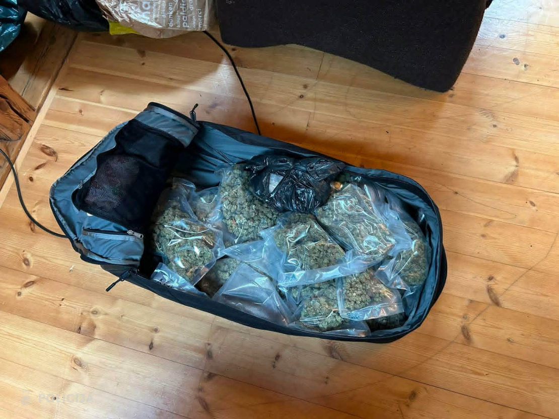Valsts policijas izņemtā marihuāna.