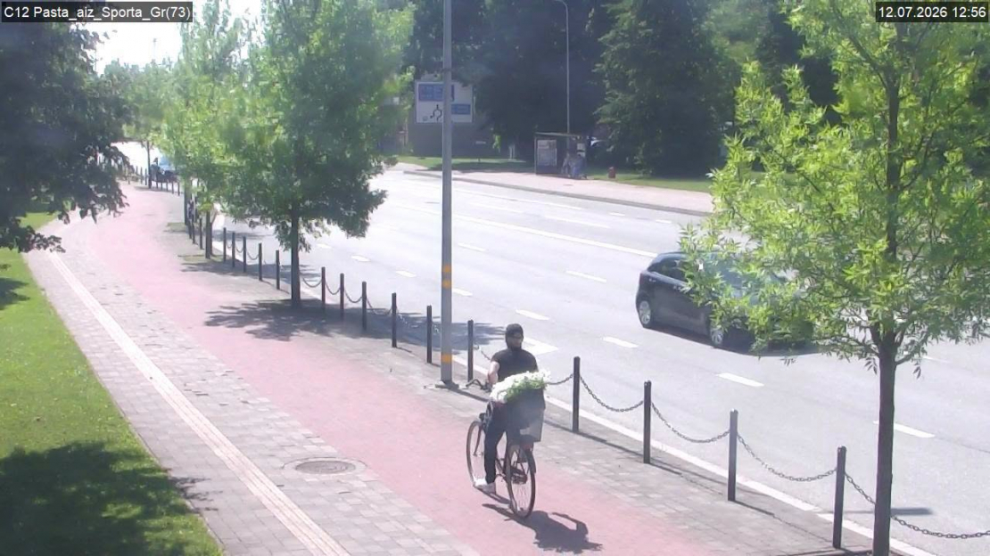 Puķu poda zaglis.
