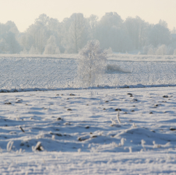Ziema. Ilustratīvs attēls.