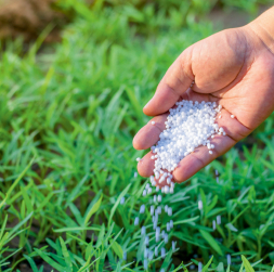 Minerālmēsli. Minerālmēsli.