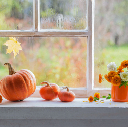 Rudens laiks. Rudens laiks.