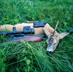 Buks nomedīts jūlija otrajā pusē Pulsar Oryx (Ieskaties.lv) testa medībās.