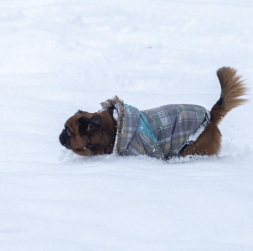 Ziema. Ilustratīvs attēls. 