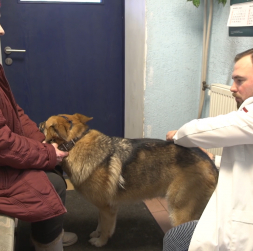 Ekrānuzņēmums no raidījuma, par kuru saņemti iesniegumi.