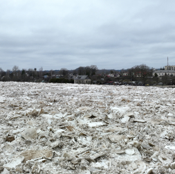 Vižņi Daugavā pie Pļaviņām.