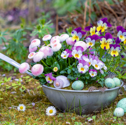 Savu laiku nokalpojušais caurduris ticis pie skaistas rotas. Savu laiku nokalpojušais caurduris ticis pie skaistas rotas.