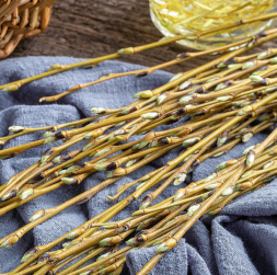 Vītolus jau izsenis lieto ārstniecībai, visplašāk – baltā vītola mizu.