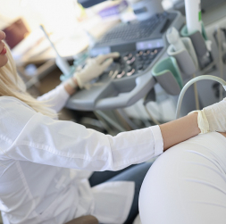 Ultrasonogrāfija ļauj novērtēt nieru struktūru un apasiņošanu.