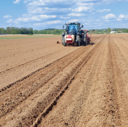 Čipsu kartupeļu stādīšana Pierīgā, SIA "Latfood Agro" apsaimniekotajos laukos Ādažos. Kartupeļu stādīšana notiek ar četrrindu stādītāju. Desmit dienās saimniecībā iestādīja kartupeļus 61 ha platībā.