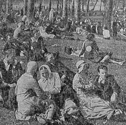 Zaļumnieki Ķīšezera priedēs 20. gs. 30. gados. Zaļumnieki Ķīšezera priedēs 20. gs. 30. gados.