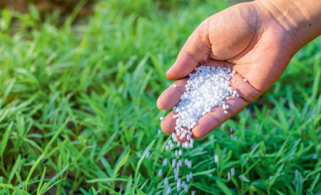 Minerālmēsli. Minerālmēsli.