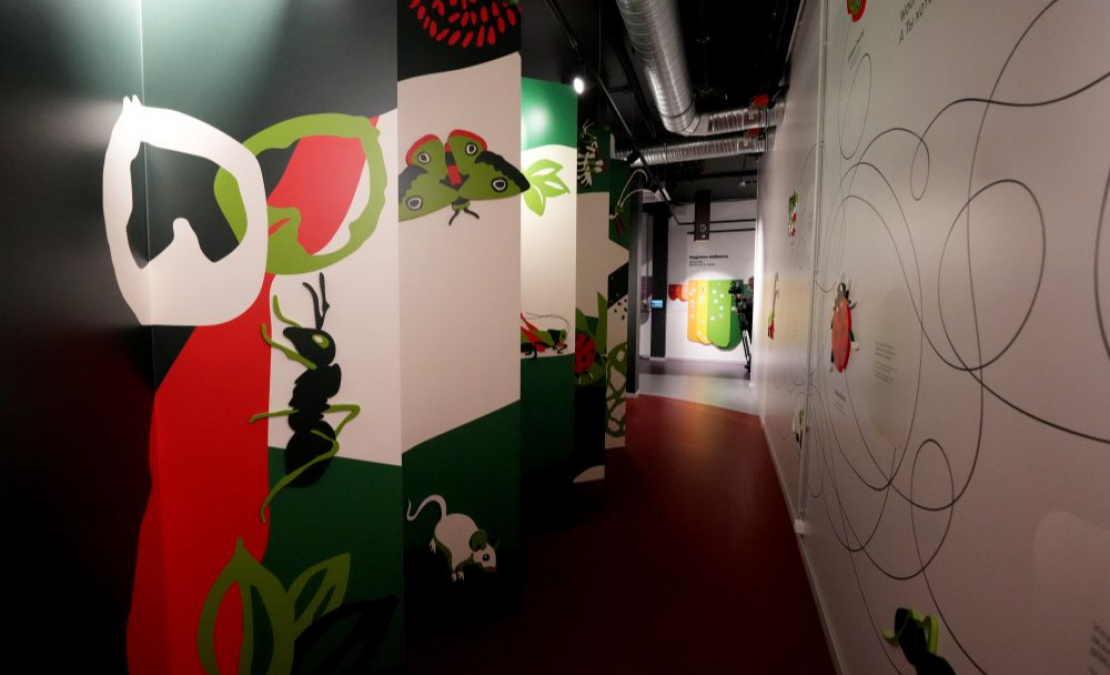 Vides izglītības centra "Botania" telpas Salaspilī.
