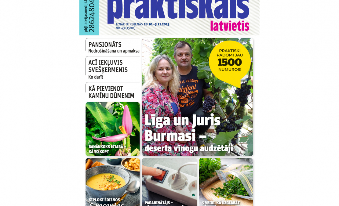 Jaunā žurnāla vāks. Jaunā žurnāla vāks.