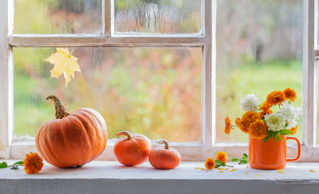 Rudens laiks. Rudens laiks.