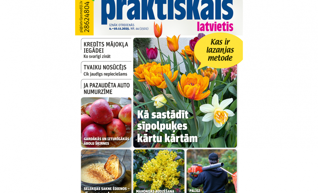 Jaunā žurnāla vāks. Jaunā žurnāla vāks.