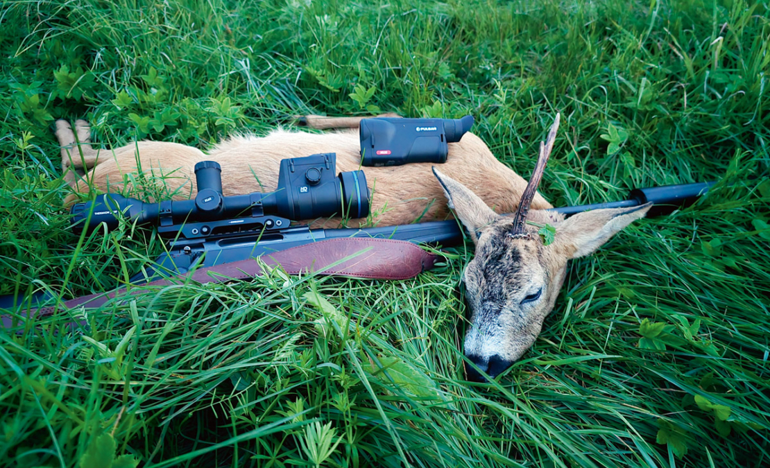 Buks nomedīts jūlija otrajā pusē Pulsar Oryx (Ieskaties.lv) testa medībās.