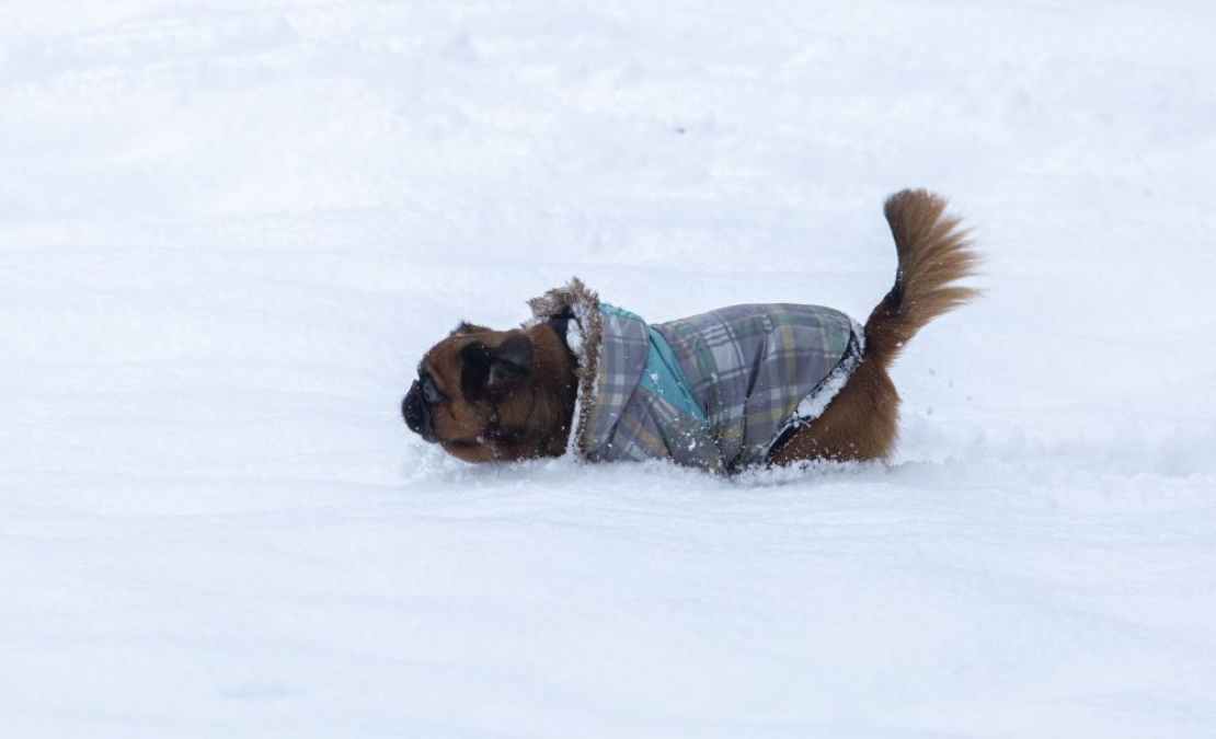 Ziema. Ilustratīvs attēls. 