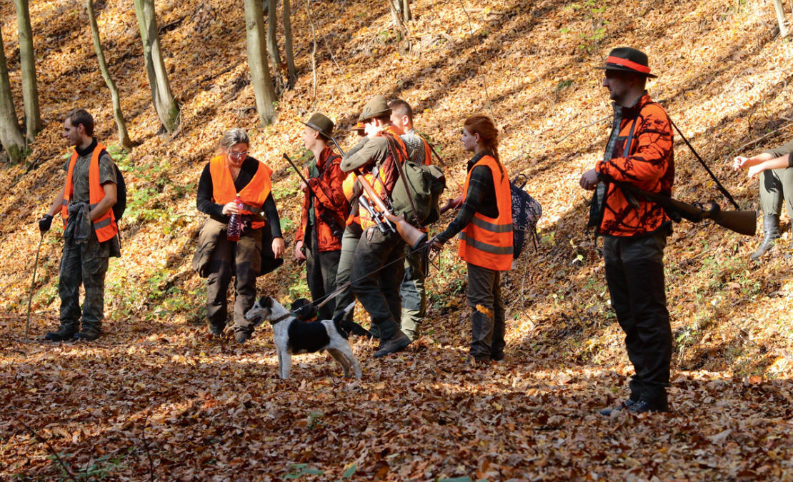 Slovākijā norāda – ar netīriem zābakiem uz medībām iet nedrīkst!

Medības ar plēsīgajiem putniem agrīnajos un viduslaikos ir dokumentētas daudzviet pasaulē.