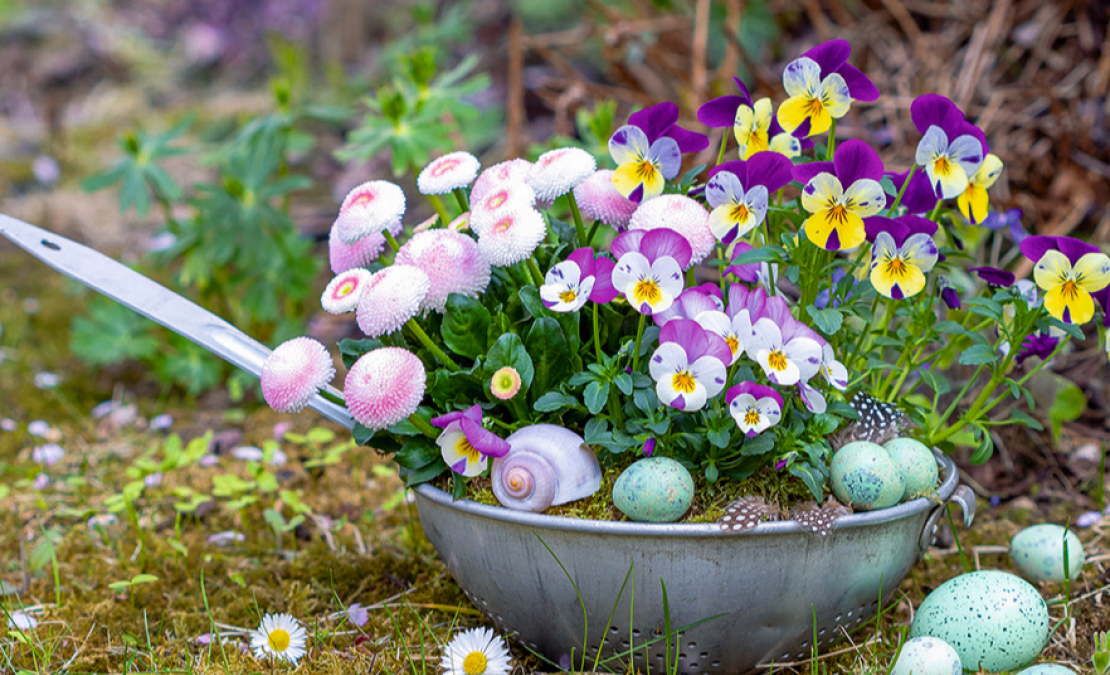 Savu laiku nokalpojušais caurduris ticis pie skaistas rotas. Savu laiku nokalpojušais caurduris ticis pie skaistas rotas.