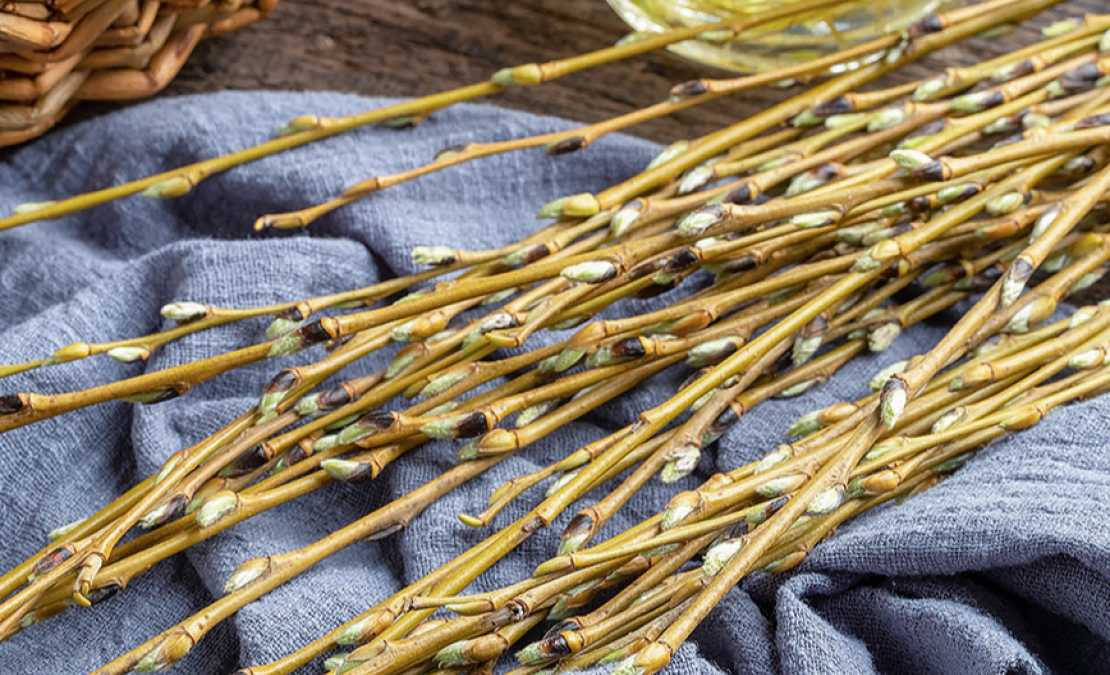 Vītolus jau izsenis lieto ārstniecībai, visplašāk – baltā vītola mizu.