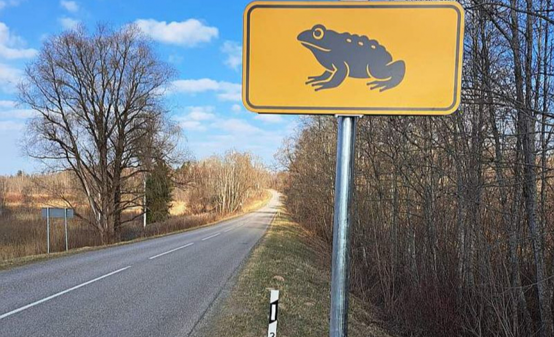 Ar speciālām ceļa zīmēm autovadītājus brīdina par krupju migrācijas ceļiem.