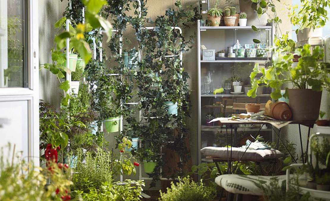 Augus ieteicams kārtot vertikāli, tādējādi ekonomējot telpu.