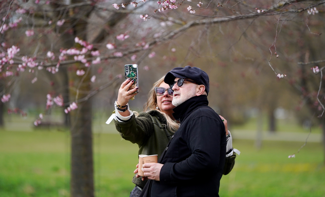 Cilvēki fotogrāfējas pie sakurām Uzvaras parkā.