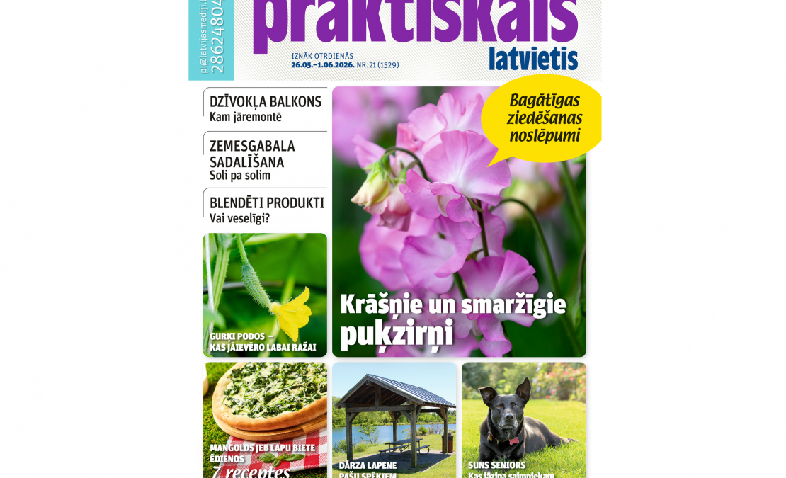 Jaunā žurnāla vāks. Jaunā žurnāla vāks.