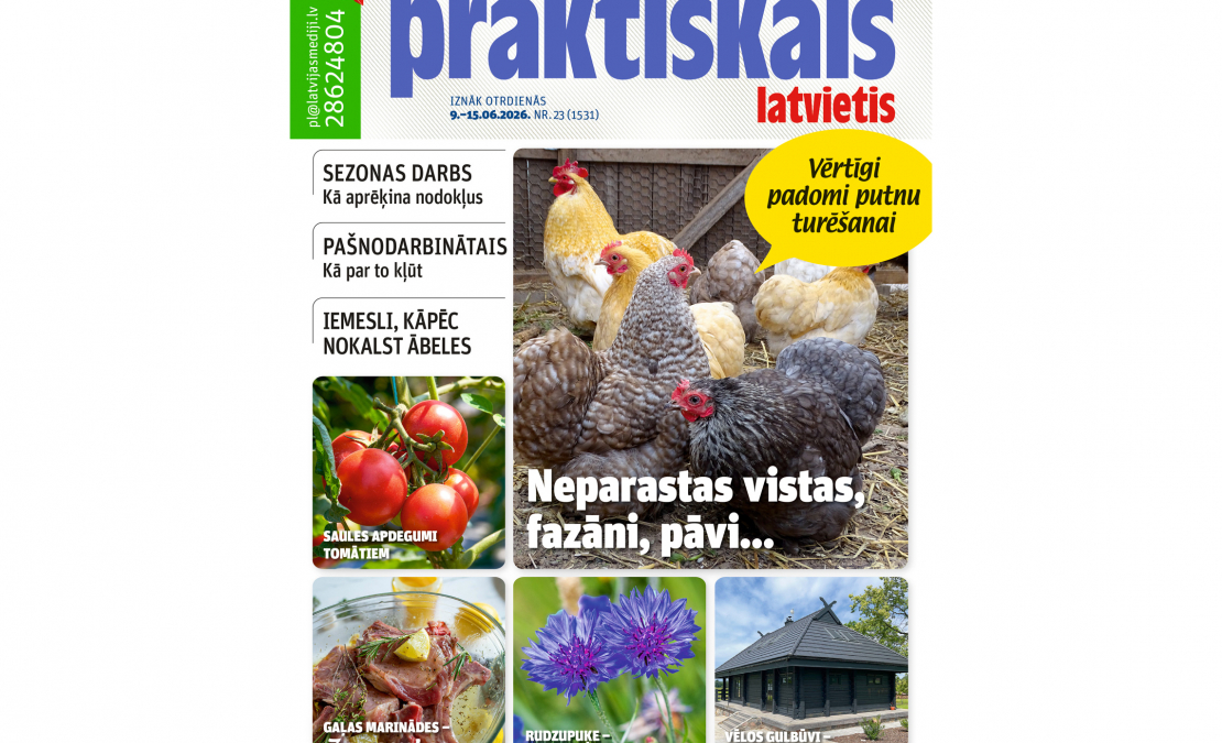 Jaunā žurnāla vāks. Jaunā žurnāla vāks.