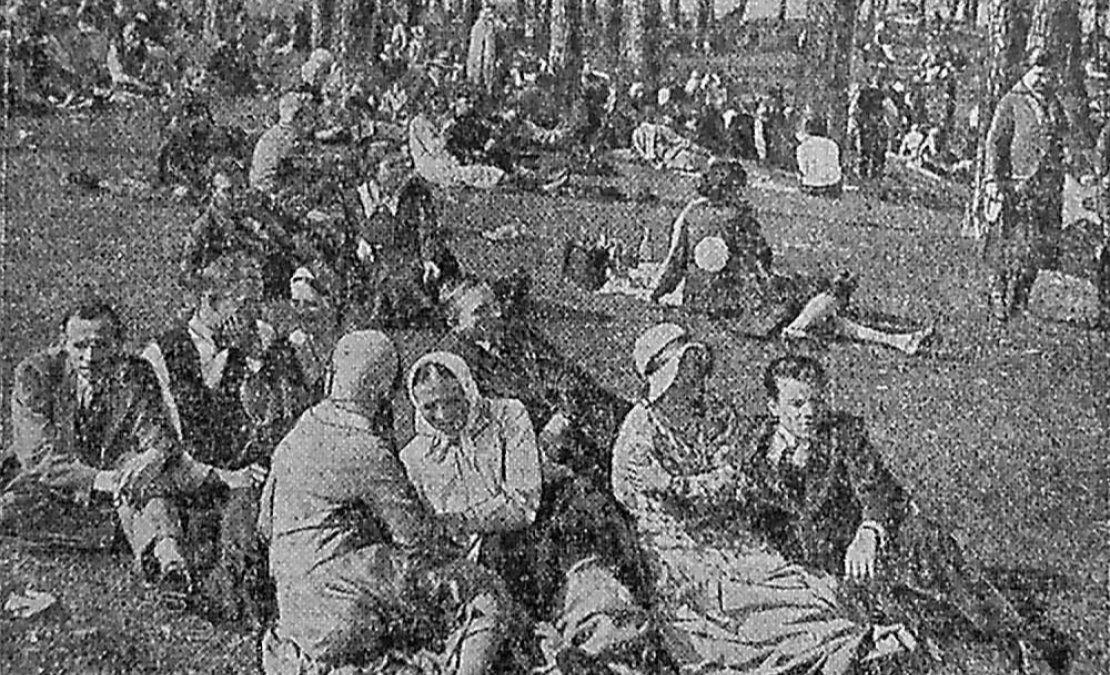 Zaļumnieki Ķīšezera priedēs 20. gs. 30. gados. Zaļumnieki Ķīšezera priedēs 20. gs. 30. gados.
