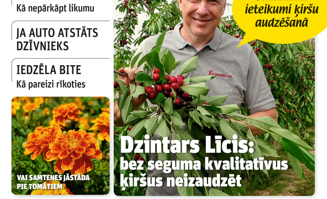 "Praktiskais Latvietis" Nr. 31, 2026.
