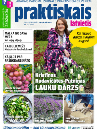 Praktiskais Latvietis