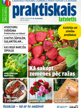 Praktiskais Latvietis