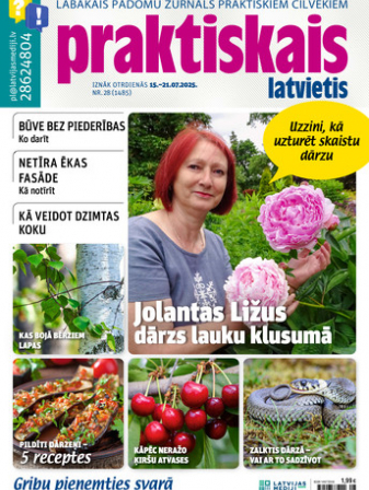 Praktiskais Latvietis