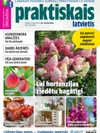 Praktiskais Latvietis