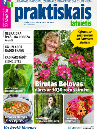Praktiskais Latvietis