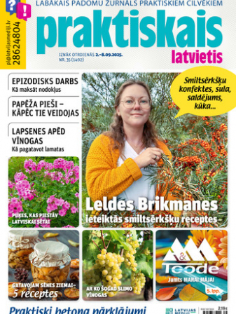 Praktiskais Latvietis