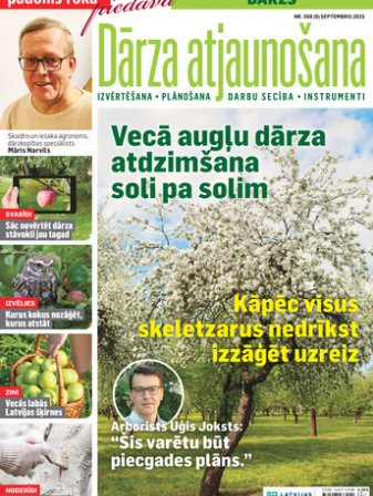 Padoms Rokā