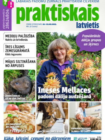 Praktiskais Latvietis