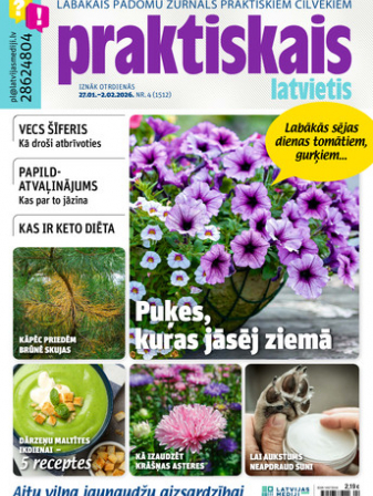 Praktiskais Latvietis