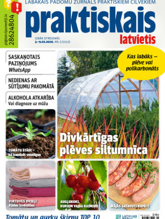 Praktiskais Latvietis