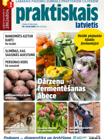 Praktiskais Latvietis