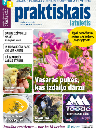 Praktiskais Latvietis