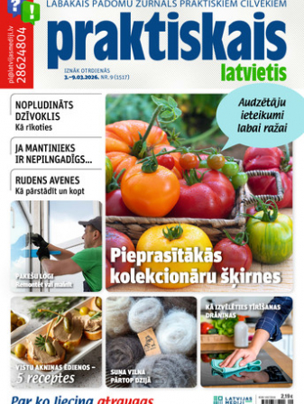 Praktiskais Latvietis