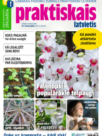 Praktiskais Latvietis