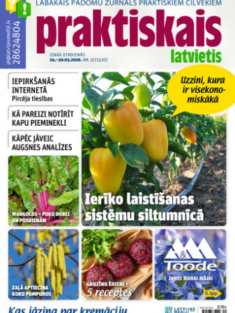 Praktiskais Latvietis