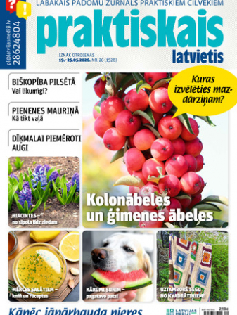 Praktiskais Latvietis