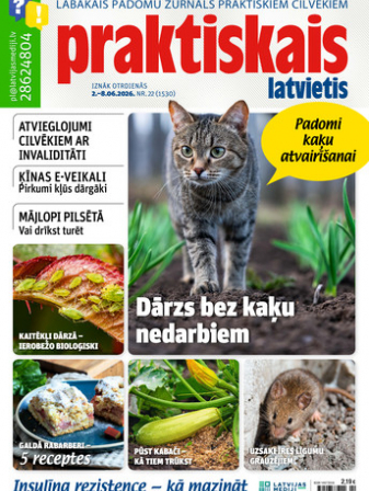 Praktiskais Latvietis