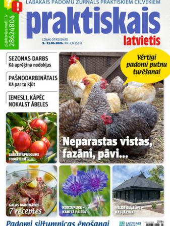 Praktiskais Latvietis