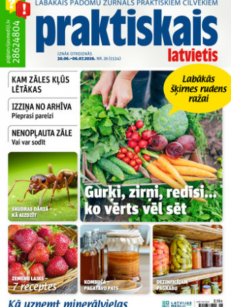 Praktiskais Latvietis